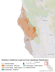 Northern California coast summer steelhead range